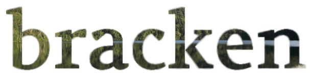 Bracken